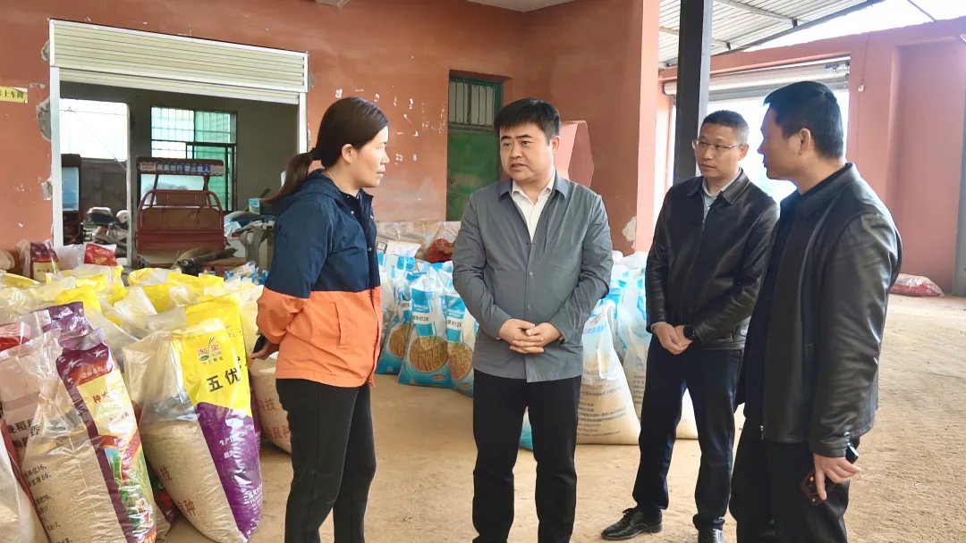 郭峰調研春耕備耕和農業農村領域集中整治工作