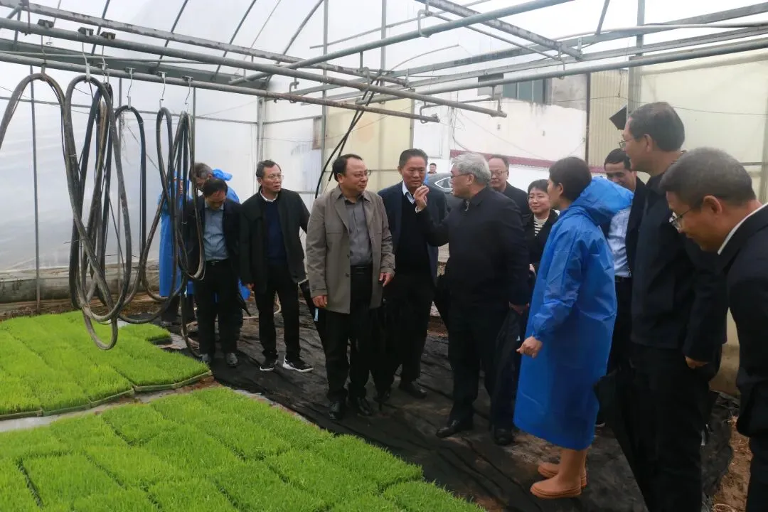 平臺搭橋、科技上陣，渝水農業迎來“智囊團”